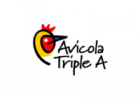 Triple A